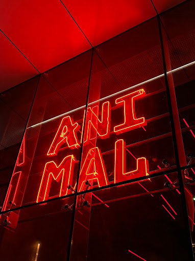 Glazing & Signage